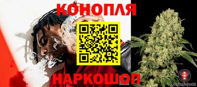 круглые Будённовск