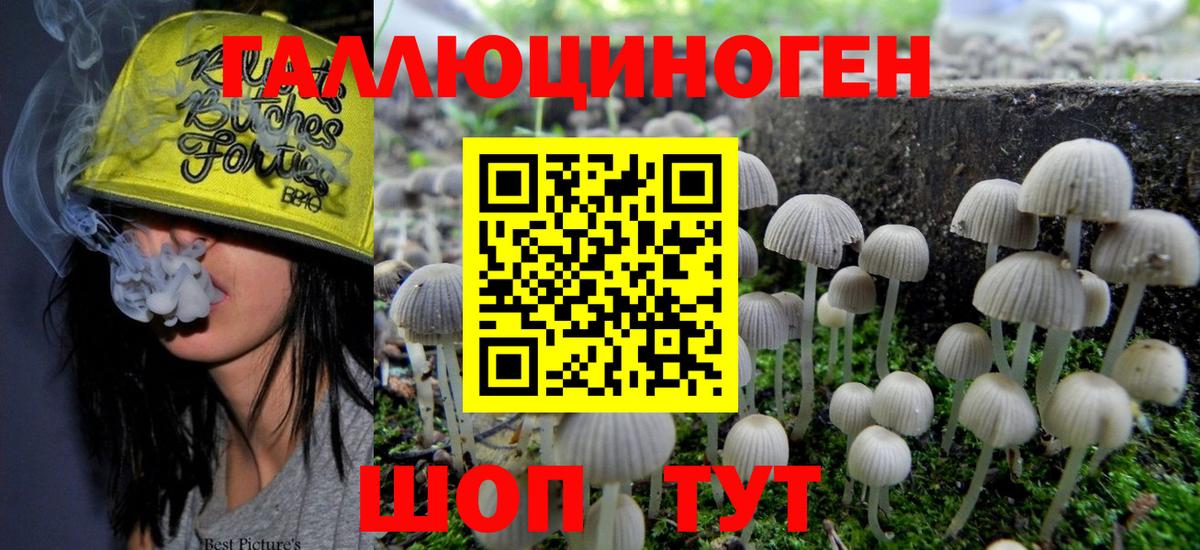 Псилоцибиновые грибы MAGIC MUSHROOMS Можга