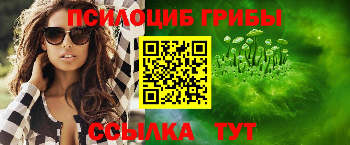 Можга  Псилоцибиновые грибы Cubensis  купить  сайты  Вход с VPN 