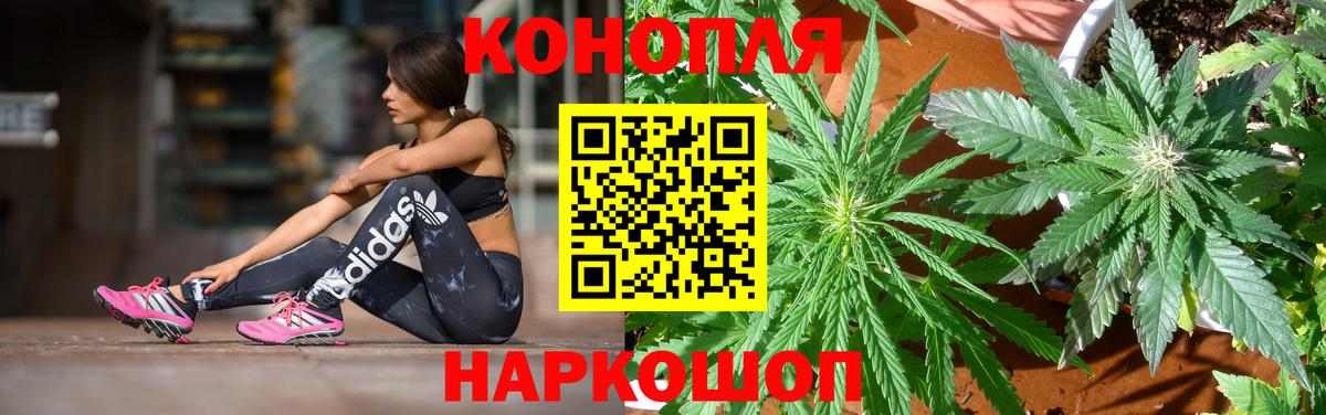 Бошки Шишки SATIVA & INDICA Можга